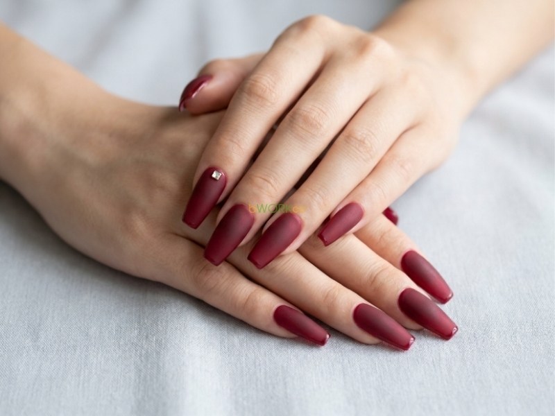V&acirc;n Beauty Phường Vườn L&agrave;i