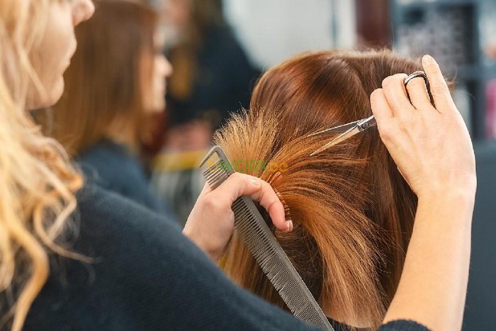 Dịch vụ cắt tóc nữ tại nhà