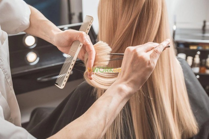 Giới thiệu về dịch vụ cắt tóc