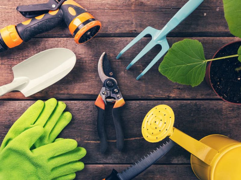 Dịch vụ chăm sóc cây cảnh tại nhà TPHCM phù hợp cho ai