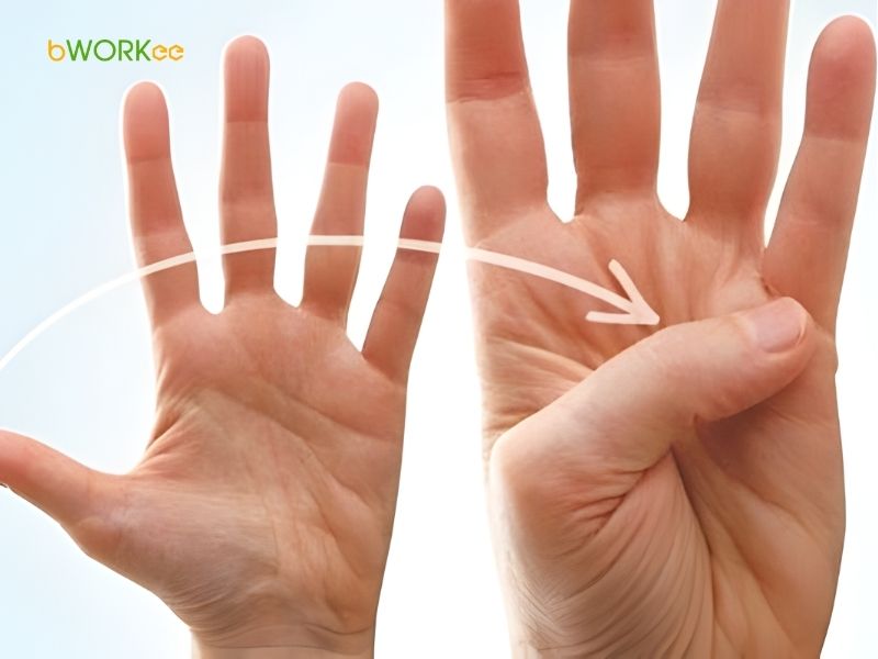 B&agrave;i tập chuyển động v&agrave; mở rộng c&aacute;c ng&oacute;n tay