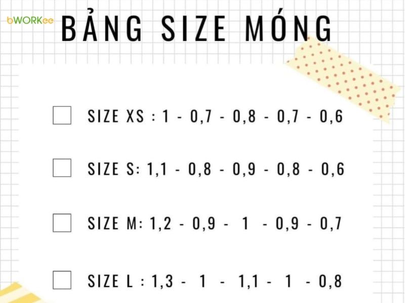 Bảng k&iacute;ch thước chuẩn của Nailbox (Bảng size m&oacute;ng ti&ecirc;u chuẩn)