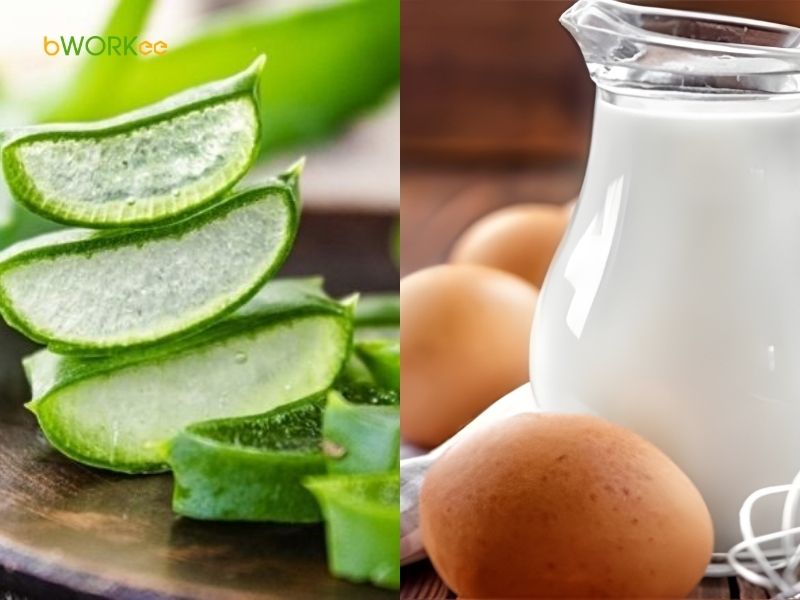 Hỗn hợp Trứng/sữa tươi và Nha đam