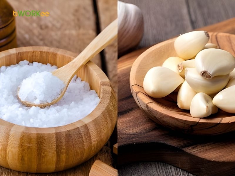 Muối và Tỏi (Kích thích mọc)