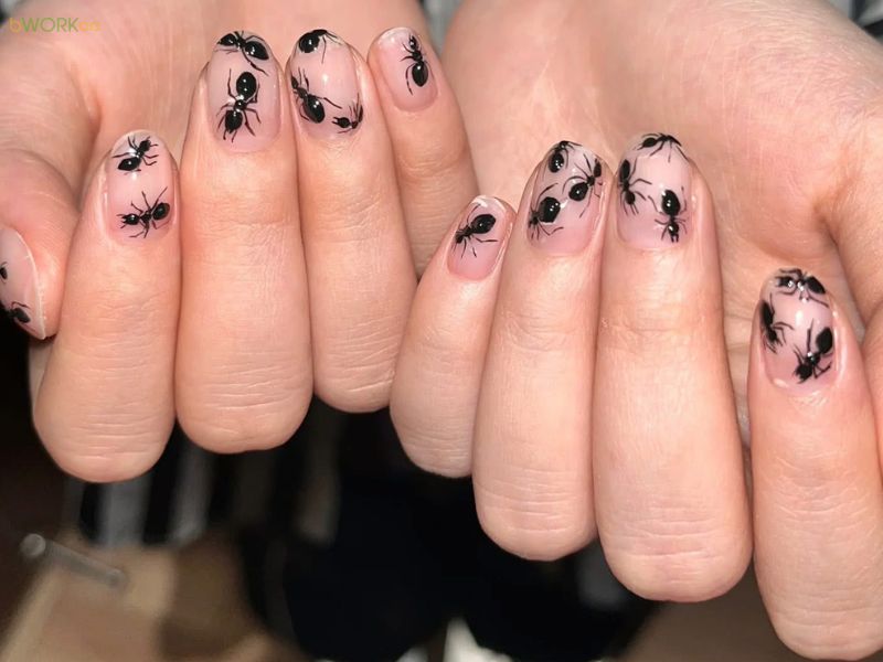 Hướng dẫn đặt lịch làm nail tại gia huyện Cần Giờ nhanh chóng