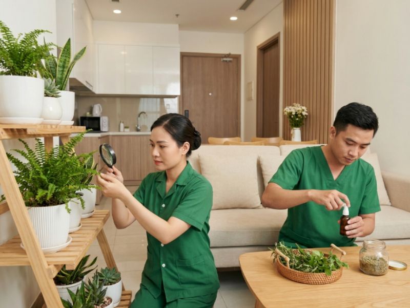 B&aacute;o gi&aacute; dịch vụ chăm s&oacute;c c&acirc;y cảnh tại nh&agrave; chi tiết nhất