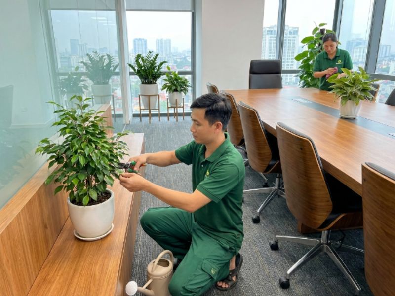 D&agrave;nh cho doanh nghiệp, văn ph&ograve;ng