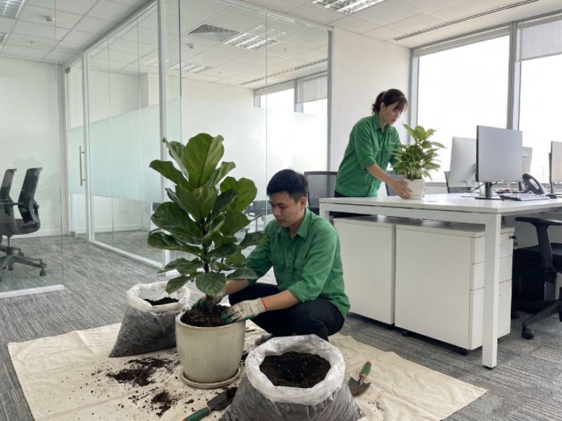 G&oacute;i chăm s&oacute;c d&agrave;nh cho doanh nghiệp