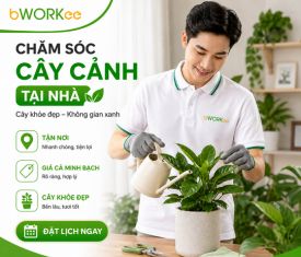 Dịch Vụ Chăm Sóc Cây Cảnh Tại Nhà