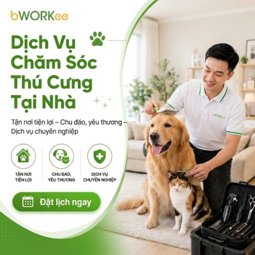 Dịch vụ chăm sóc thú cưng tại nhà