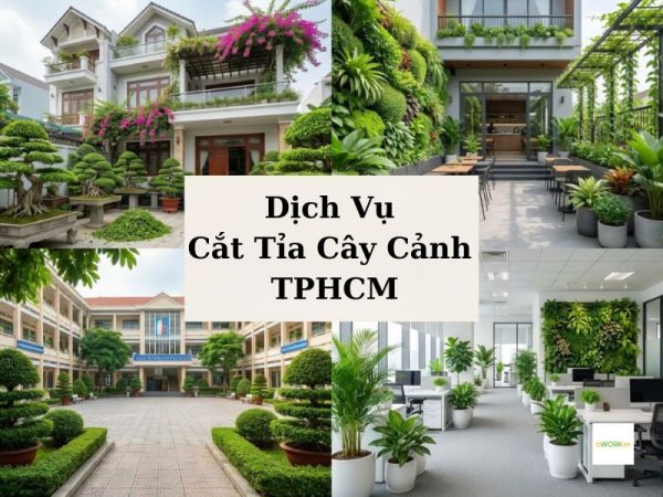 Dịch vụ cắt tỉa cây cảnh TPHCM chuyên nghiệp, giá tốt