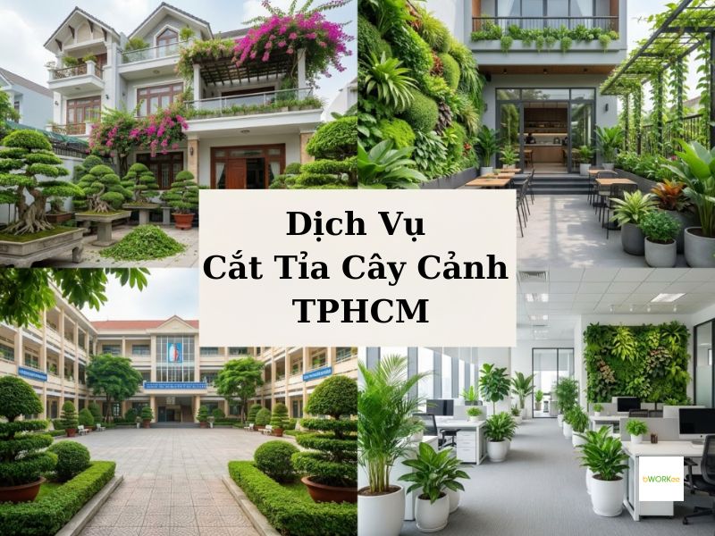 Dịch vụ cắt tỉa cây cảnh TPHCM chuyên nghiệp, giá tốt