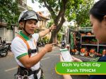 Dịch vụ chặt cây xanh TPHCM uy tín, giá tốt