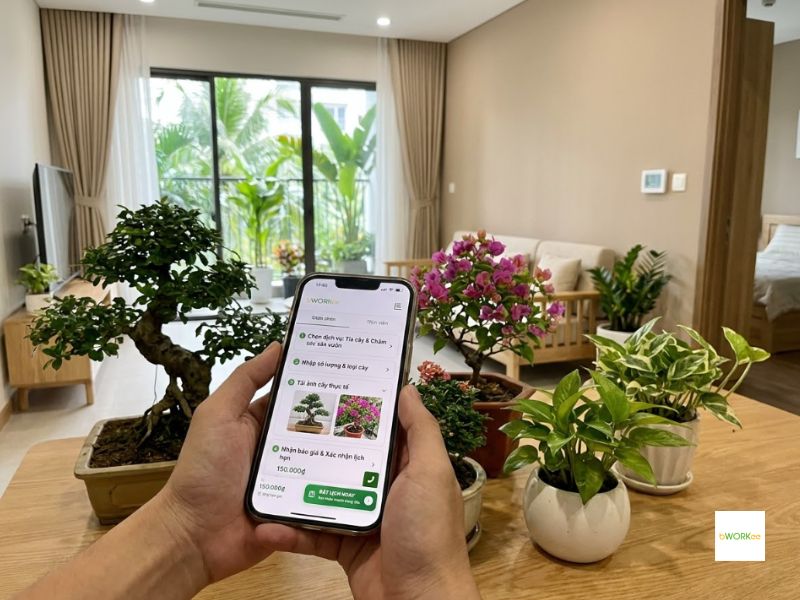 Hướng dẫn quy tr&igrave;nh đặt nhanh ch&oacute;ng qua nền tảng Bworkee