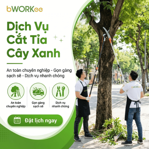 Dịch Vụ Cắt Tỉa Dọn Cây Tận Nơi
